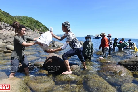 SOS from polluted beaches