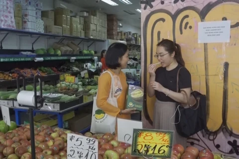 Vietnamese durian strives for winning Aussie market