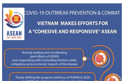 Vietnam makes efforts for 'cohesive and responsive' ASEAN