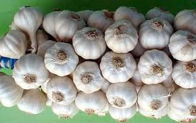 Ly Son garlic receives certificate of geographical indication