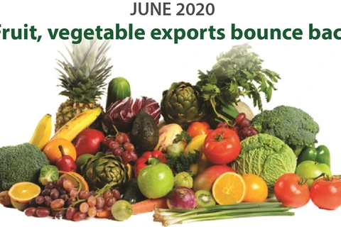 Fruit, vegetable exports bounce back