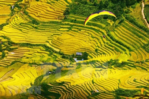 Mu Cang Chai terraced fields in ripen season