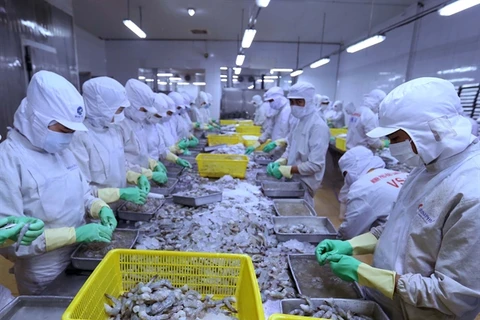 Vietnam’s seafood exports to EU predicted to down 20%