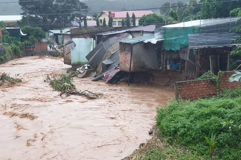 Gia Lai tackling aftermath of storms