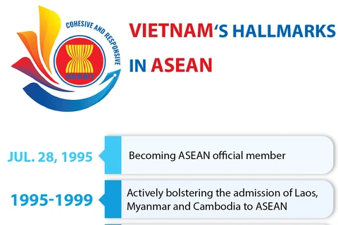 Vietnam's hallmarks in ASEAN