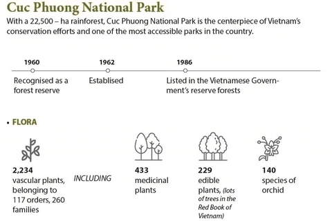 Cuc Phuong National Park