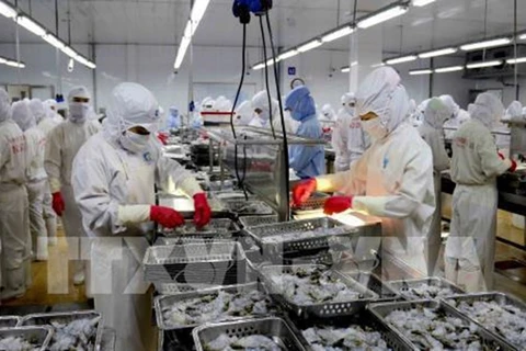  Efforts to build a trademark for Quang Ninh shrimp