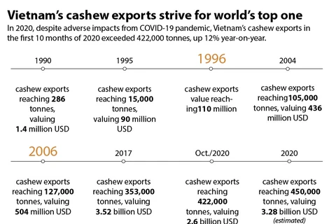 Vietnam's cashew exports strives for world's top one