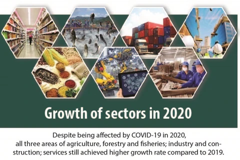 Sectors continue to grow despite Covid-19