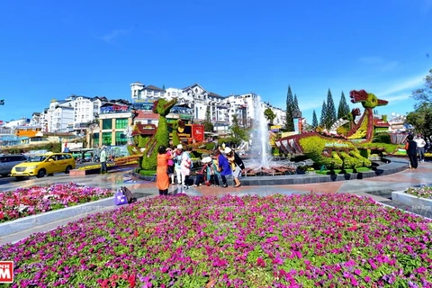 Da Lat, the capital of flower export