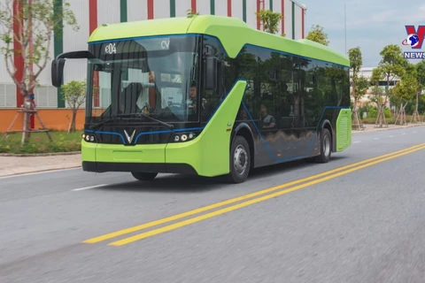 HCM City gets green light to trial electric buses 