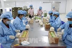 UKVFTA opens up opportunities for Vietnamese exports 