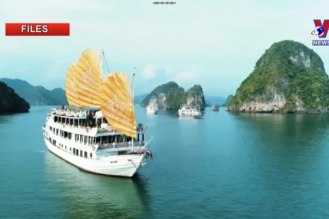 Vietnam's Top 10 Destinations for Photography