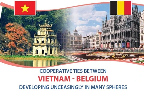 Vietnam- Belgium relations develop unceasingly