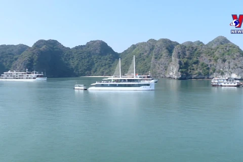  Cat Ba listed among must-visit national parks by US website