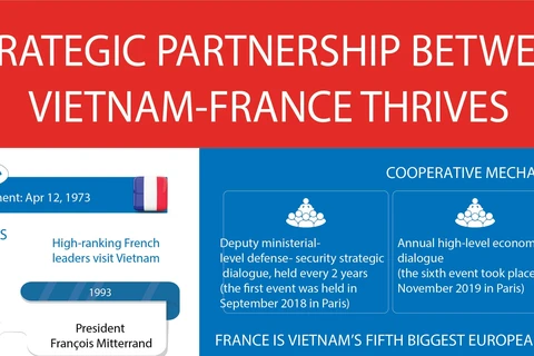Strategic partnership between Vietnam-France thrives