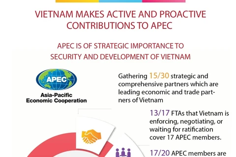 Vietnam makes active and proactive contributions to APEC