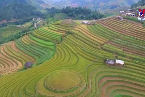 Mu Cang Chai terraces receive special national heritage certificate