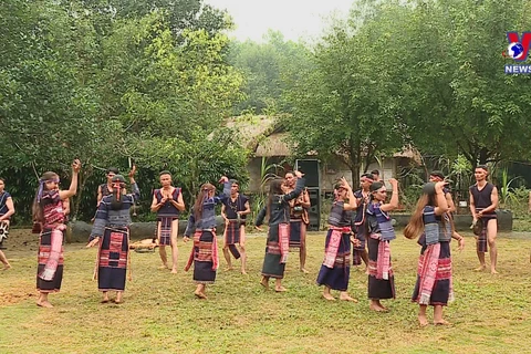 Ba Na ethnic wedding ceremonies add charm to Spring Festival