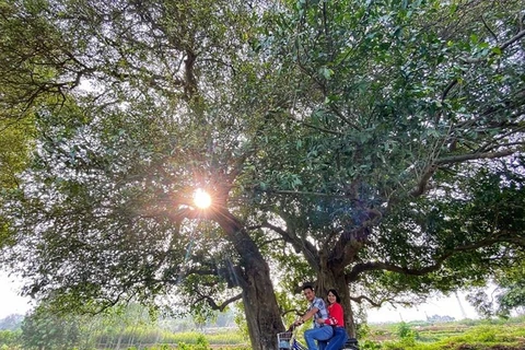 Xu Doai, the new face of tourism in the land of white clouds