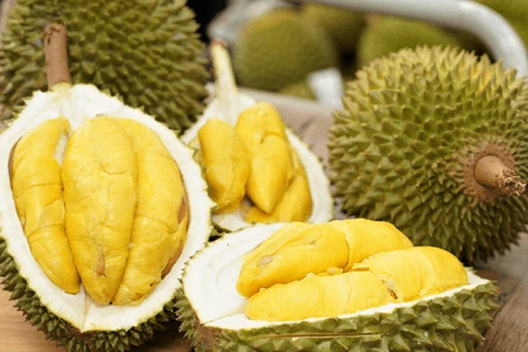 Binh Phuoc zones off 1,500 ha of durian for exports