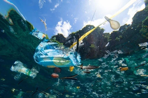 Changing consumption habits around plastics to protect the sea