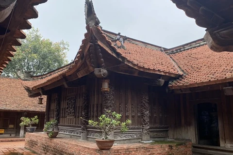 Dau pagoda, a precious national cultural patrimony