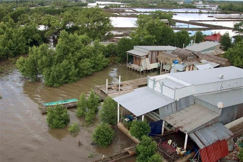 Ca Mau province tackles climate change