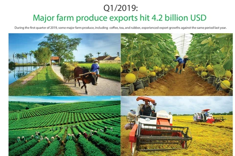 Major farm produce exports hit 4.2 billion USD