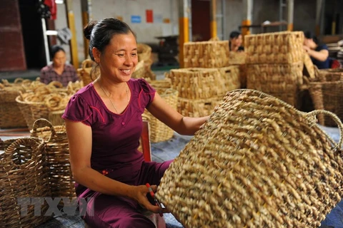 Aquatic plant creates unique handicraft items