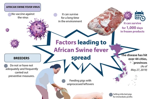 Factors leading to African Swine fever spread