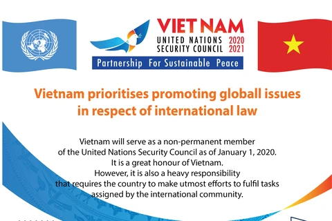 Vietnam prioritises global issues in respect of international law