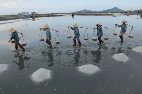 Hon Khoi villagers strive for preserving salt making