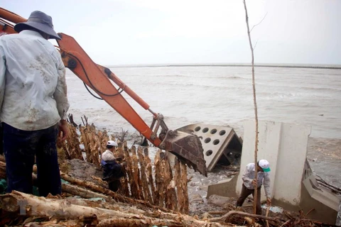 Ca Mau sea dyke at risk of breaching