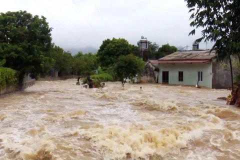 Five dead, 14 missing as consequences of storm Wipha 