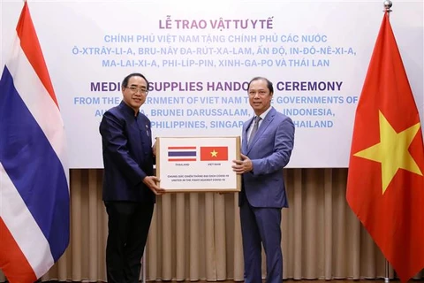 Vietnam joins hands with ASEAN countries in COVID-19 fight