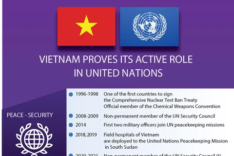 Vietnam proves its active role in UN