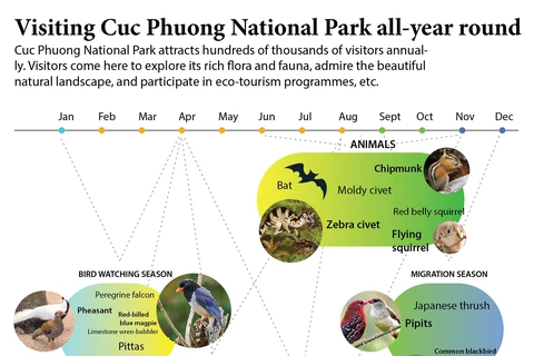Visiting Cuc Phuong National Park all-year round