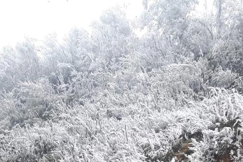 Mountainous region covered with frost 