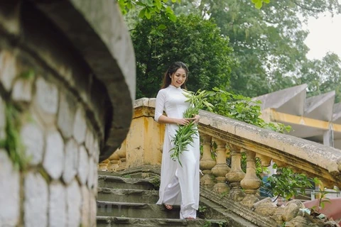 Ao Dai Week honours Vietnamese traditional costume