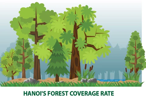 Hanoi's forest coverage rate reaches 5.67 percent