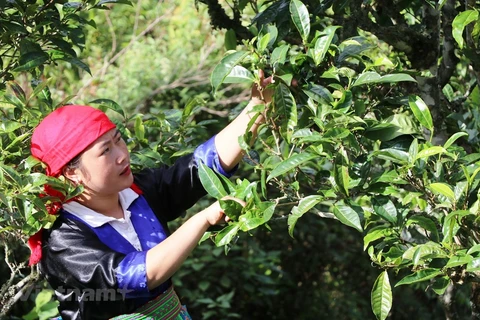 Changing minds helps farmers change lives