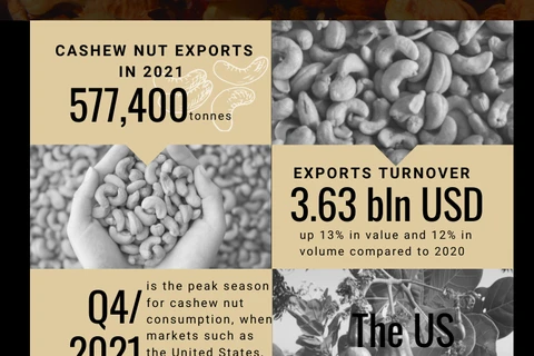 Vietnam's cashew nut exports pick up despite COVID-19 
