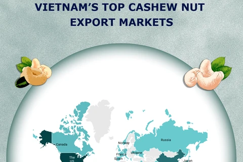 (Interactive) Vietnam’s top cashew nut export markets