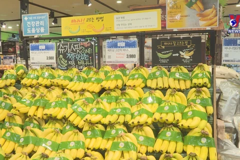 Japan increases banana imports from Vietnam