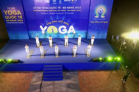 Yoga festival boosts Vietnam - India friendship
