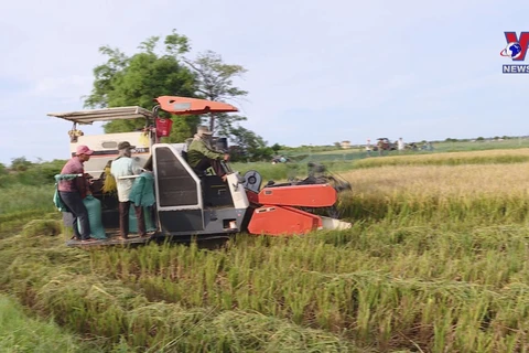 Vietnam posts two-fold growth in agricultural trade surplus 
