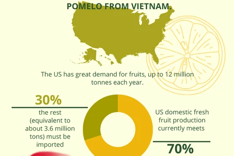 Vietnamese pomelo gets ready to enter US market 