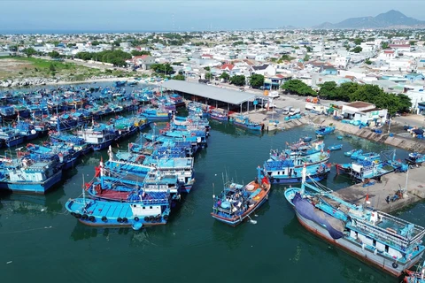 Vietnam building sustainable fisheries sector