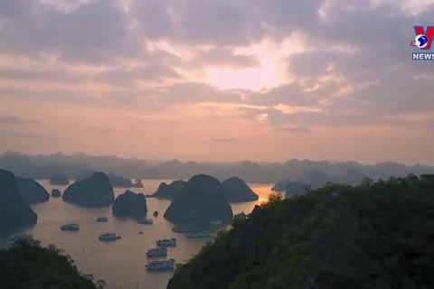 Memorable experiences from dawn-to-dusk tour to Ha Long Bay 